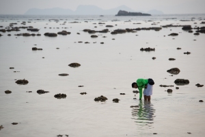 An Asian visitor going through the coral at low tide. 